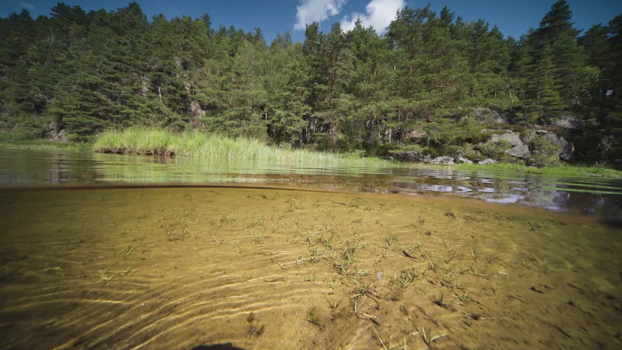 split level view over og under vand