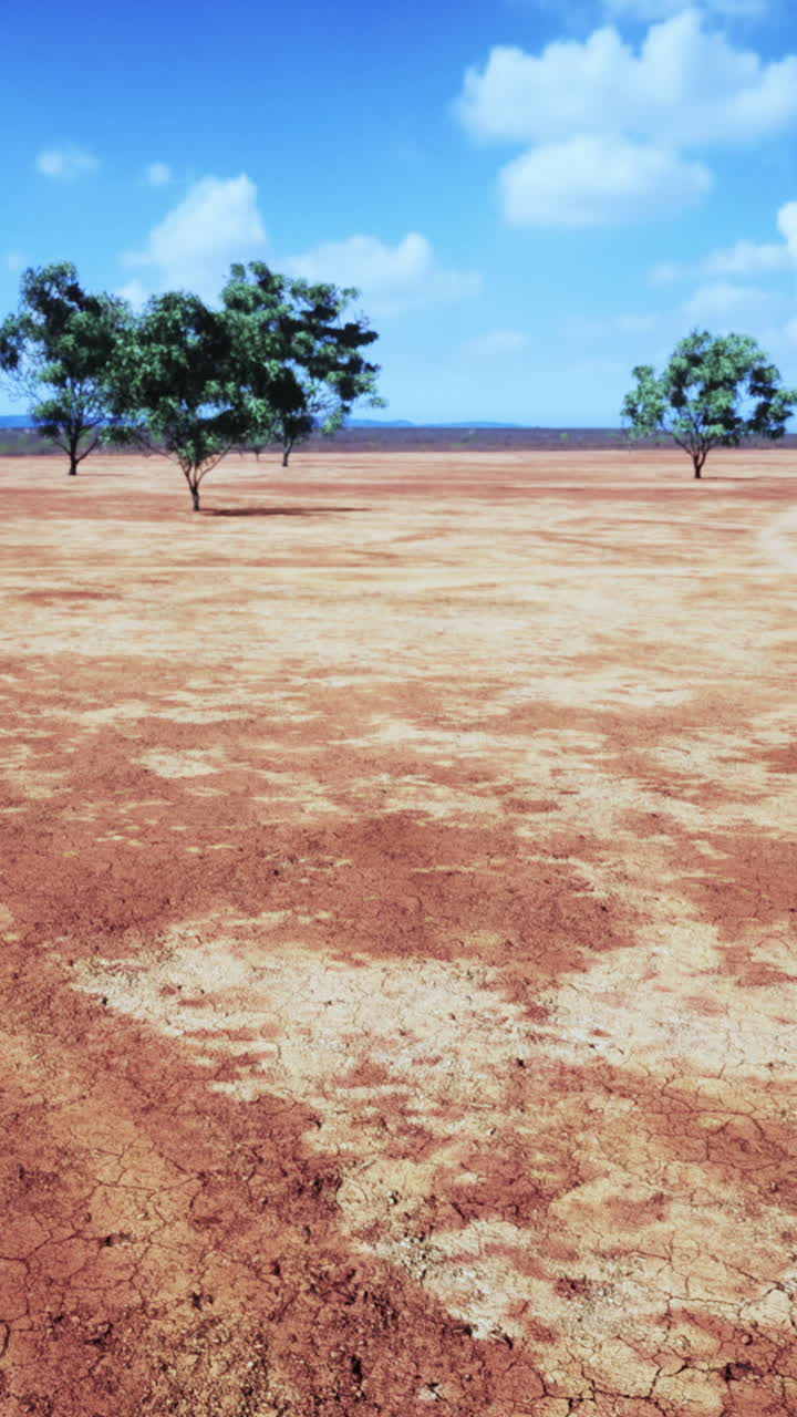 un paisaje desértico con unos pocos árboles