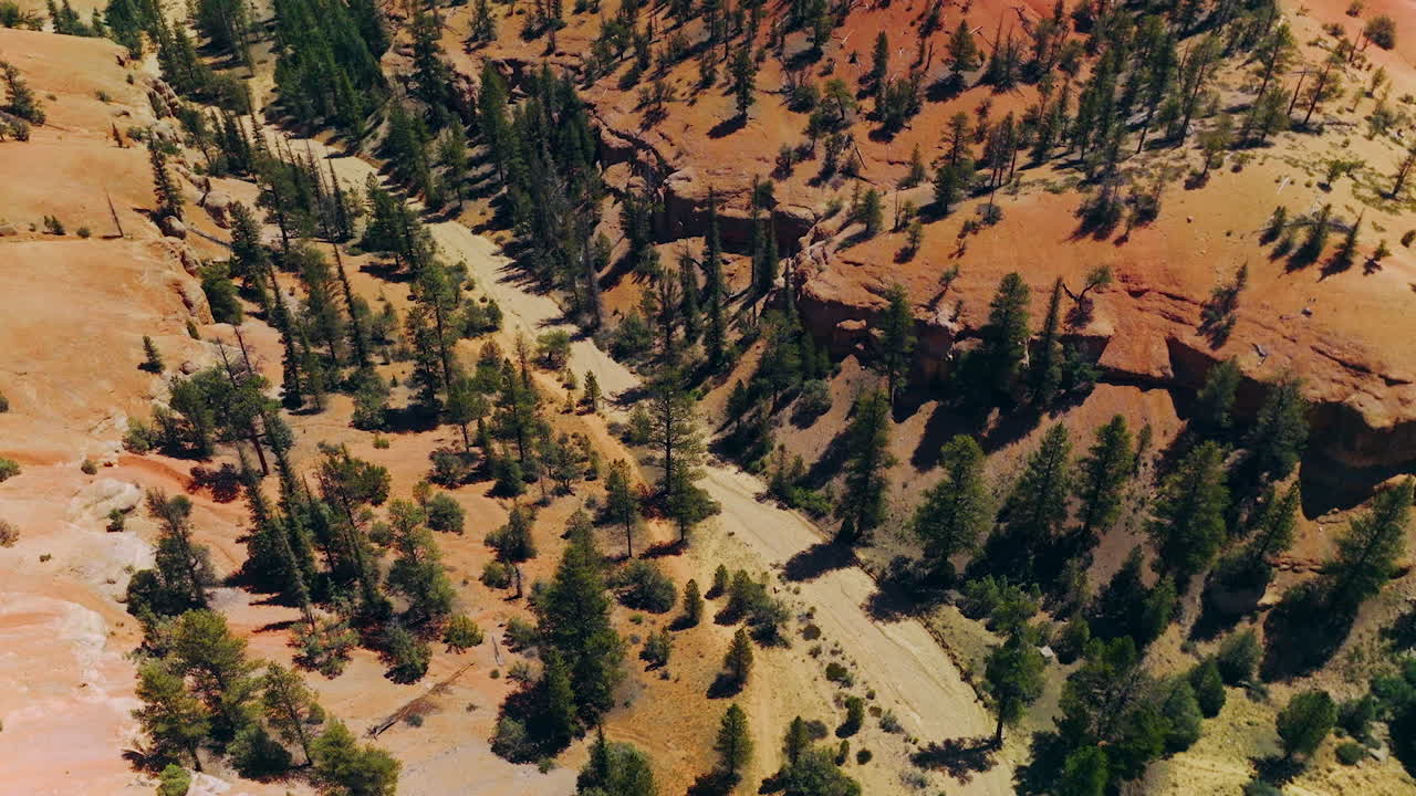 Sunny view of landscape in the National Park of Utah, USA. Pine trees growing on the rocks of Arches Canyon. Top view.