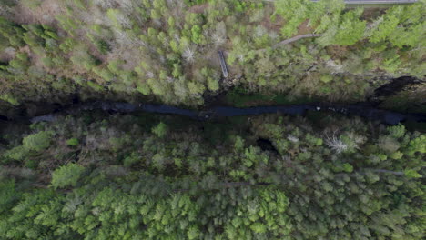 Top-down-view-aerial-drone-shot-of-narrow-Corrieshalloch-gorge-surrounded-by-forest-in-Scottish-Highlands-from-a-great-height