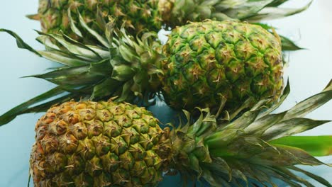 piñas enteras sobre fondo azul