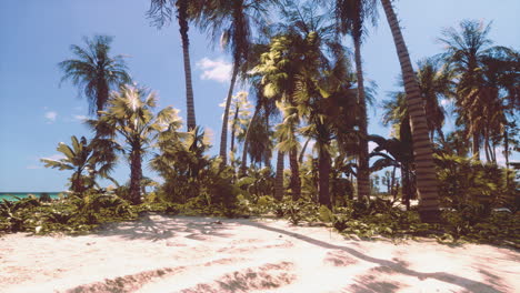 un paraíso tropical con arena blanca y palmeras