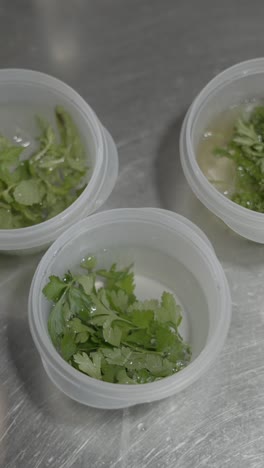 fresh herbs soaking in water in plastic containers
