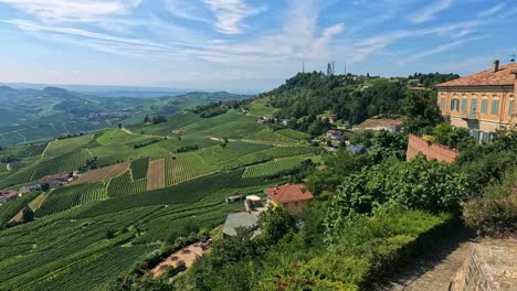 panoramic view of vineyards in cuneo, italy