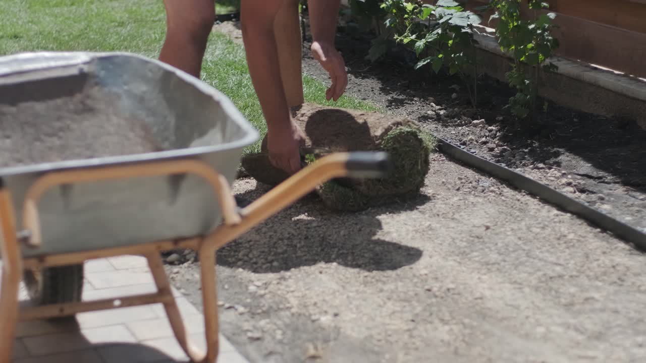 rollo de nuevo césped natural instalado por jardinero profesional. industria de jardinería.