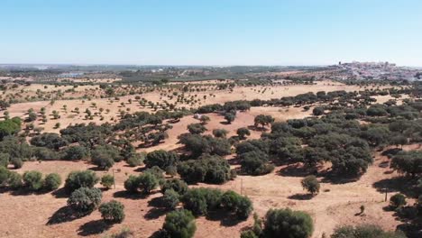 4K-aerial-drone-video-of-green-avis-hills-in-Avis,-Alentejo