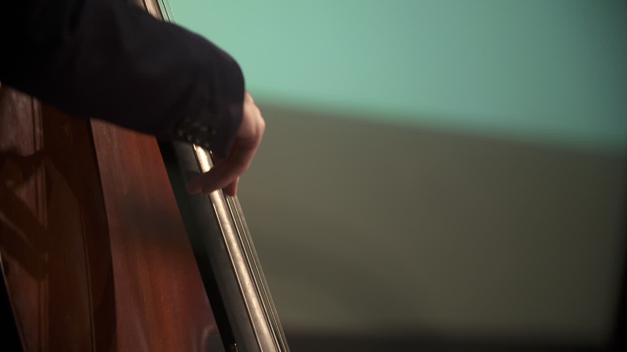 Primo piano della mano di un musicista che pizzica le corde di un contrabbasso