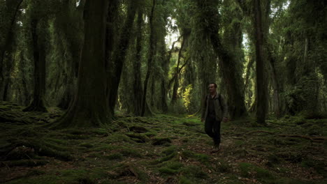 Man Walking Through a Dense, Mossy Ancient Forest