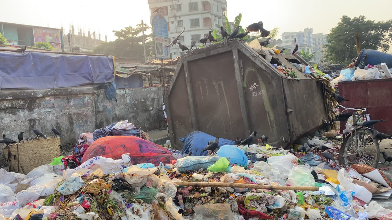 vertedero de basura al aire libre, pájaros en busca de comida, concepto de contaminación del aire al aire libre