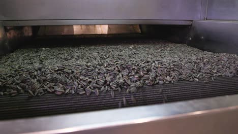 Close-shot-of-a-conveyor-with-sunflower-seeds