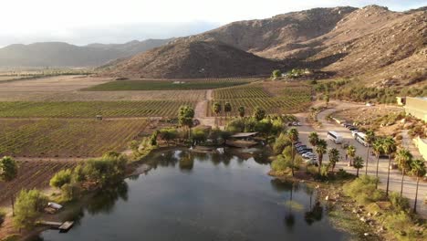 Vista-Aérea-De-Un-Lago-Cerca-De-Un-Viñedo-En-Baja-California,-México