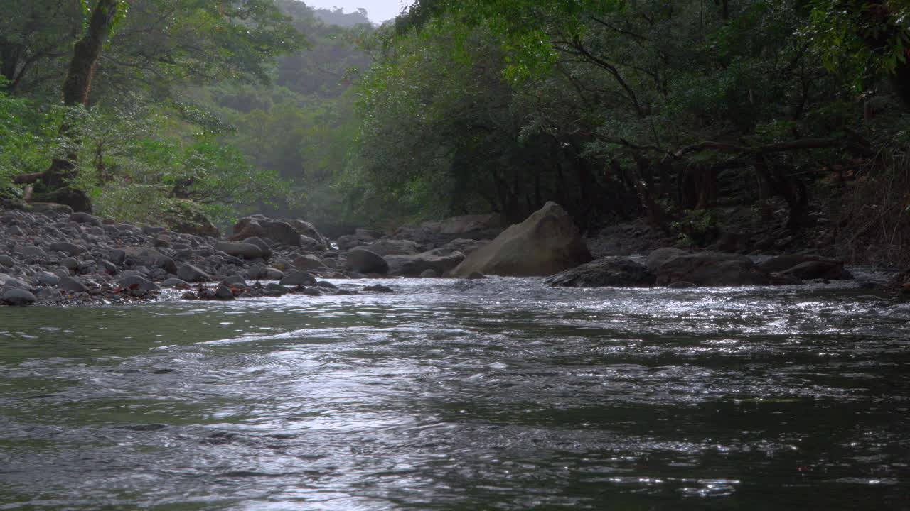 Fiume placido che scorre attraverso una vegetazione lussureggiante a Cajones de Chame, Panama, una scena naturale serena