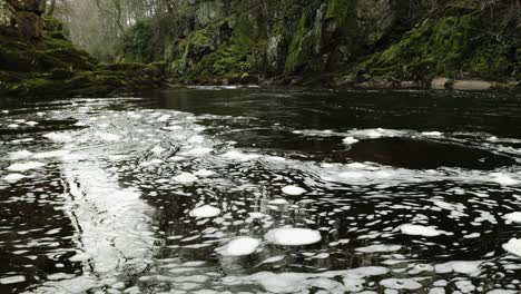 swirling bubbles of white foam slowly circulate on the surface a scottish river in a hypnotic, constantly changing pattern of organic shapes as a fast river current flows through a green, mossy gorge