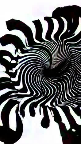 abstract black and white spiral design