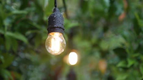 Kronleuchter-Glühbirne-Im-Strömenden-Regen-Auf-Dem-Hintergrund-Grüner-Blätter