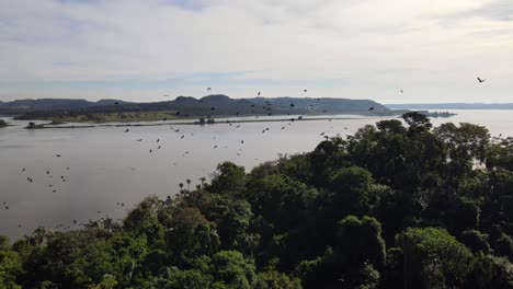 Bandada-De-Pájaros-Volando-Sobre-El-Exclusivo-Parque-Teyu-Cuare-En-El-Río-Paraná,-Argentina