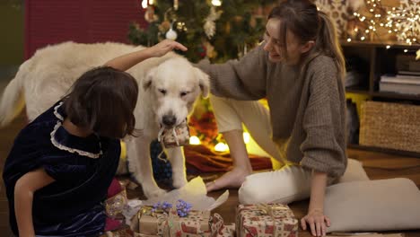 mother and daughter stroking golden retriever dog holds gift box in jaws