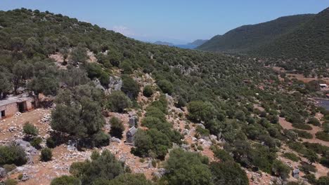 aerial view of spread-out ancient lycian ruins in between trees and forest on the coastline of turkey