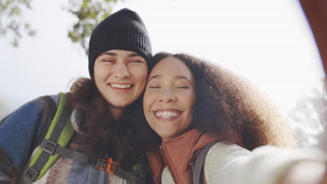 Selfie,-Friedenszeichen-Und-Freunde-In-Der-Natur