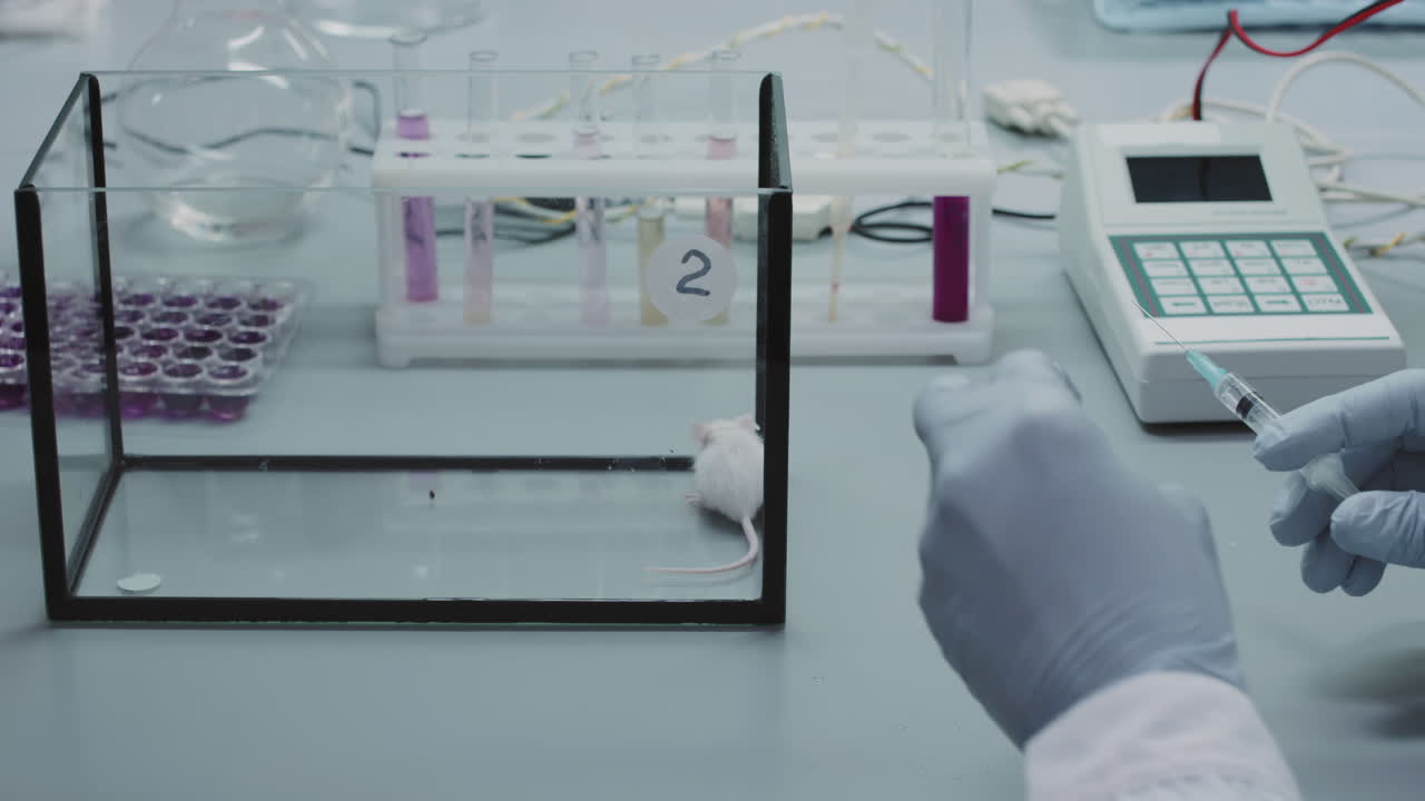 Unrecognizable Scientist Injecting Lab Rat with Vaccine