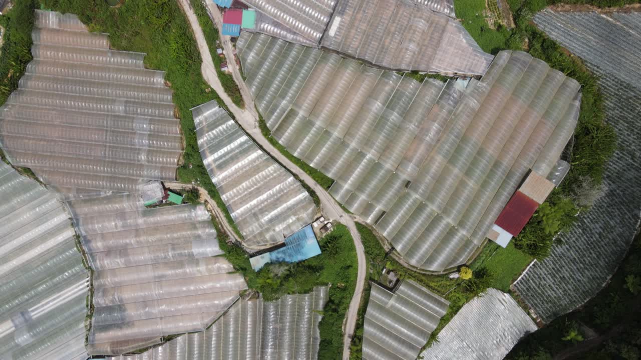 말레이시아의 카메론 하이랜드 지역 내의 브린창 지역의 일반 풍경