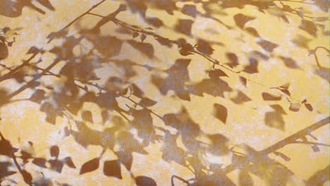 dappled sunlight on a yellow surface background