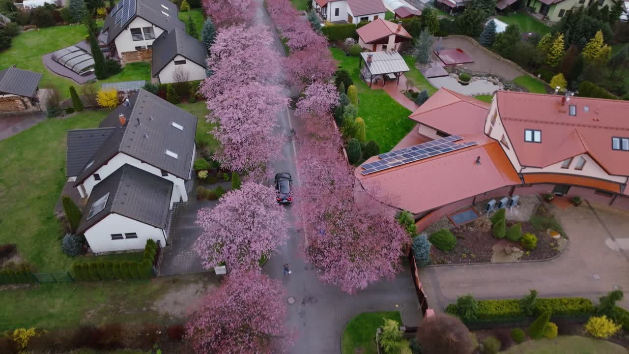 스비타비, 체 ⁇  의 봄 에 푸른 자연 을 가진 아름다운 주거 지역 의 드론  ⁇