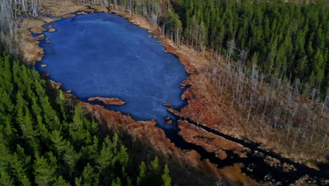 Toma-De-Drones-De-Un-Pequeño-Estanque-Congelado-En-La-Naturaleza.