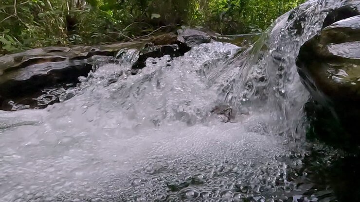 Habitat boschivi, acque superficiali fresche, ambienti naturali rilassanti