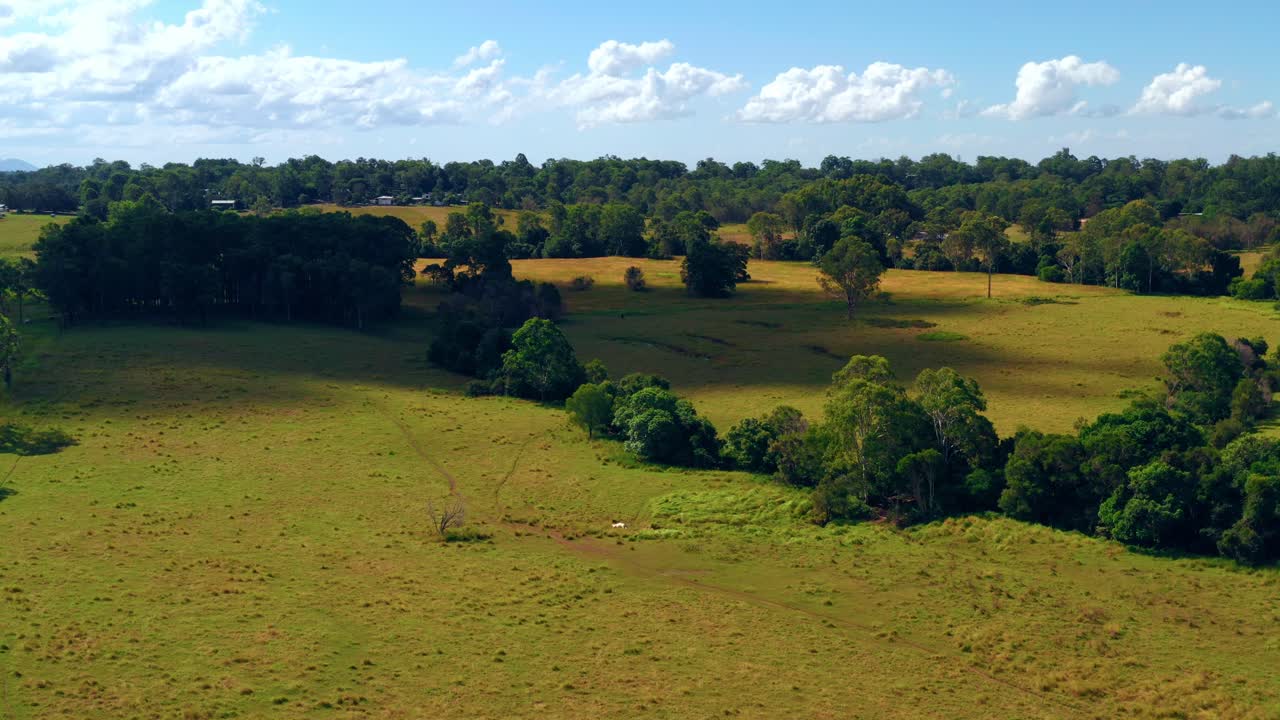 Paisaje de exuberantes campos verdes y árboles en una zona rural cerca de la ciudad de Brisbane en Queensland, Australia.
