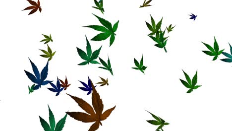 abstract tree leaf loopable background - the leaf to dance - fall/autumn leaves - falling autumn leafs - tree leaves swirling and flying around - loopable - multi color white