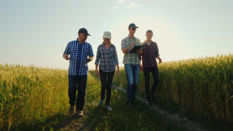 a group of young farmers walks along a country road along wheat fields