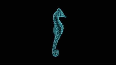 a beautiful 3d sea horse holograph render