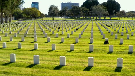 beautiful veterans cemetery in los angeles, california