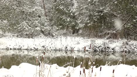 a lot of snow falling on the white winter wonderland landscape with green trees and a reflecting river