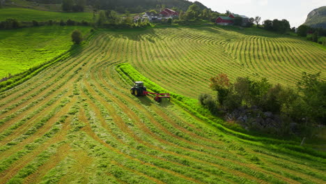 Rural-scene-of-tractor-driving-on-green-field-and-cutting-grass-for-silage
