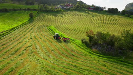 rural scene of tractor driving on green field and cutting grass for silage