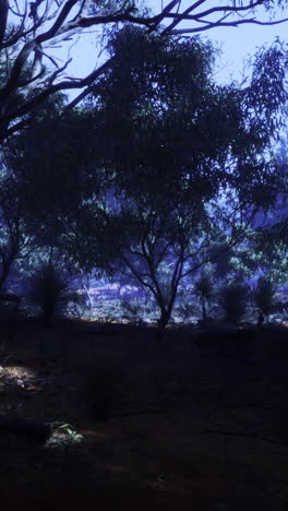 mysterious twilight envelops an enchanting forest with shadows and light