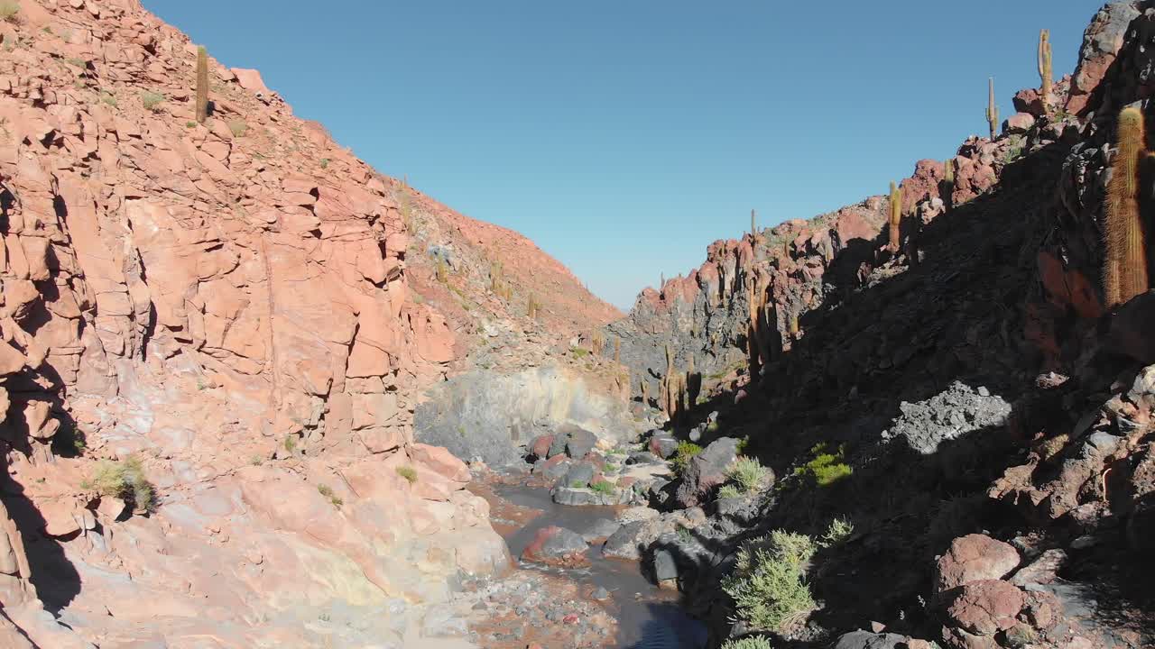 남아메리카 칠레 북부 아타카마 사막의 산 페드로 데 아타카마 근처에 있는 인기 있는 거대한 선인장 협곡 내부의 공중 영화 촬영