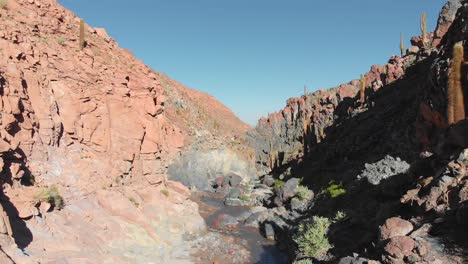 Aerial-cinematic-shot-inside-a-popular-giant-cactus-canyon-near-San-Pedro-de-Atacama-in-the-Atacama-Desert,-northern-Chile,-South-America