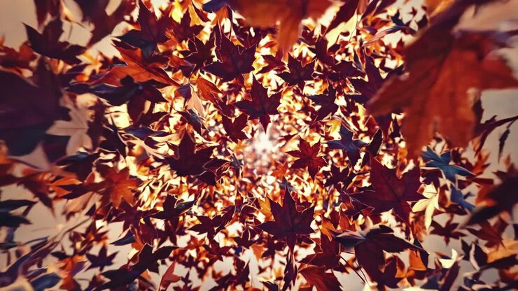 Autumn Leaves Abstract