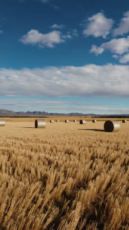 hay bales in a golden field and close-up textures