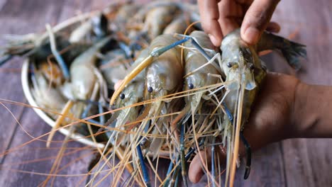 fresh shrimps ready to cook