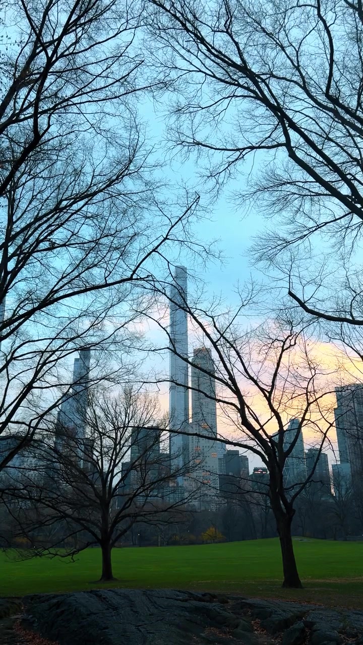 Silhueta de árvores contra o horizonte de Manhattan ao pôr do sol. Céu do pôr do sol sobre arranha-céus emoldurado por galhos de árvores desfolhadas e uma grande rocha no Central Park