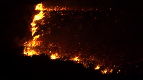 fire spreading from dry brush