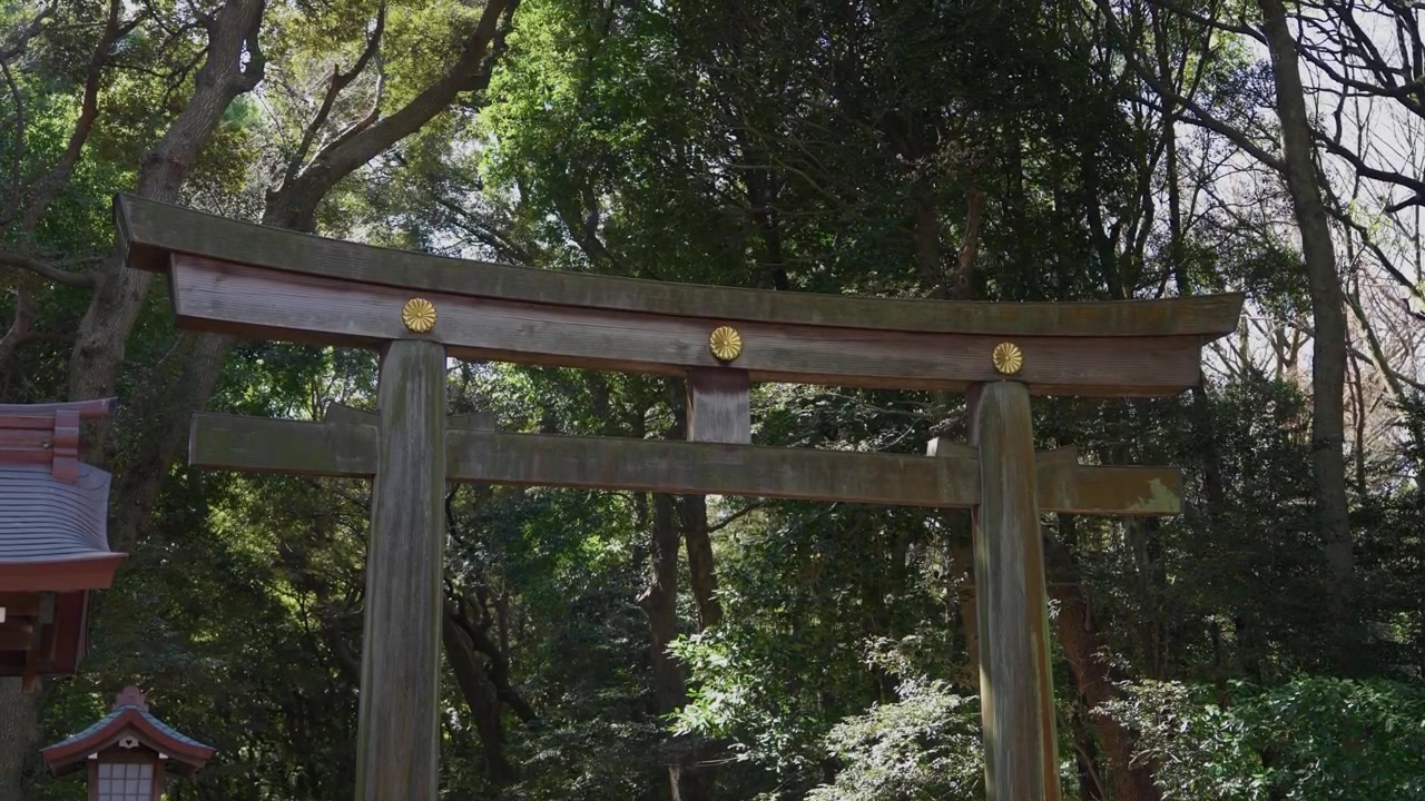 Stor træ torii-port med gyldne emblemer blandt grønne træer i Tokyo