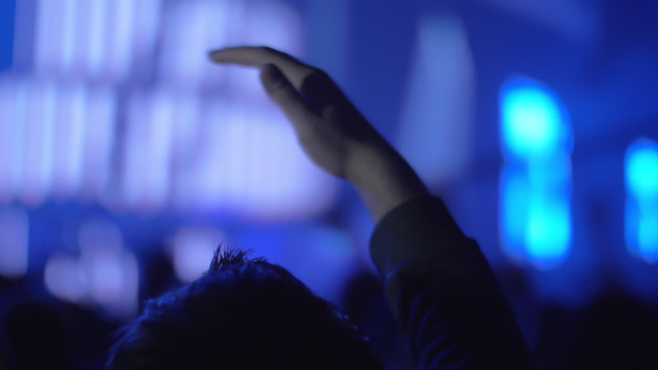 Fan di musica con la mano alzata al concerto
