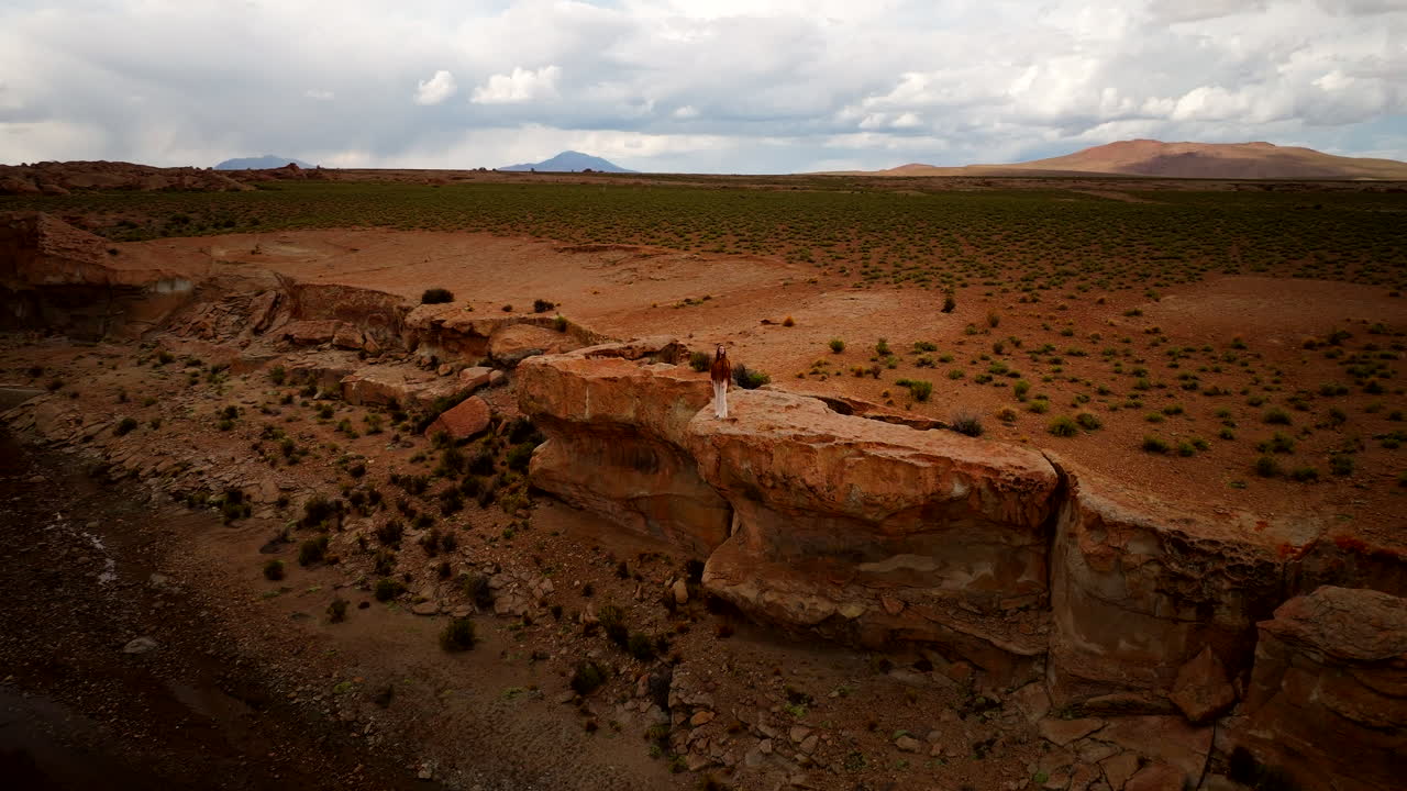 Female traveler stands on rocky bank of river valley in Siloli desert, aerial