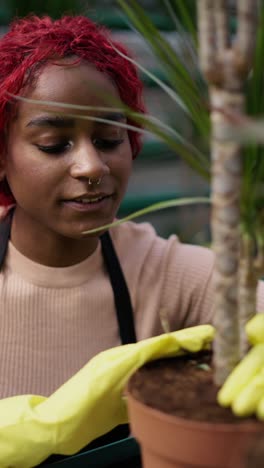 woman caring for a plant