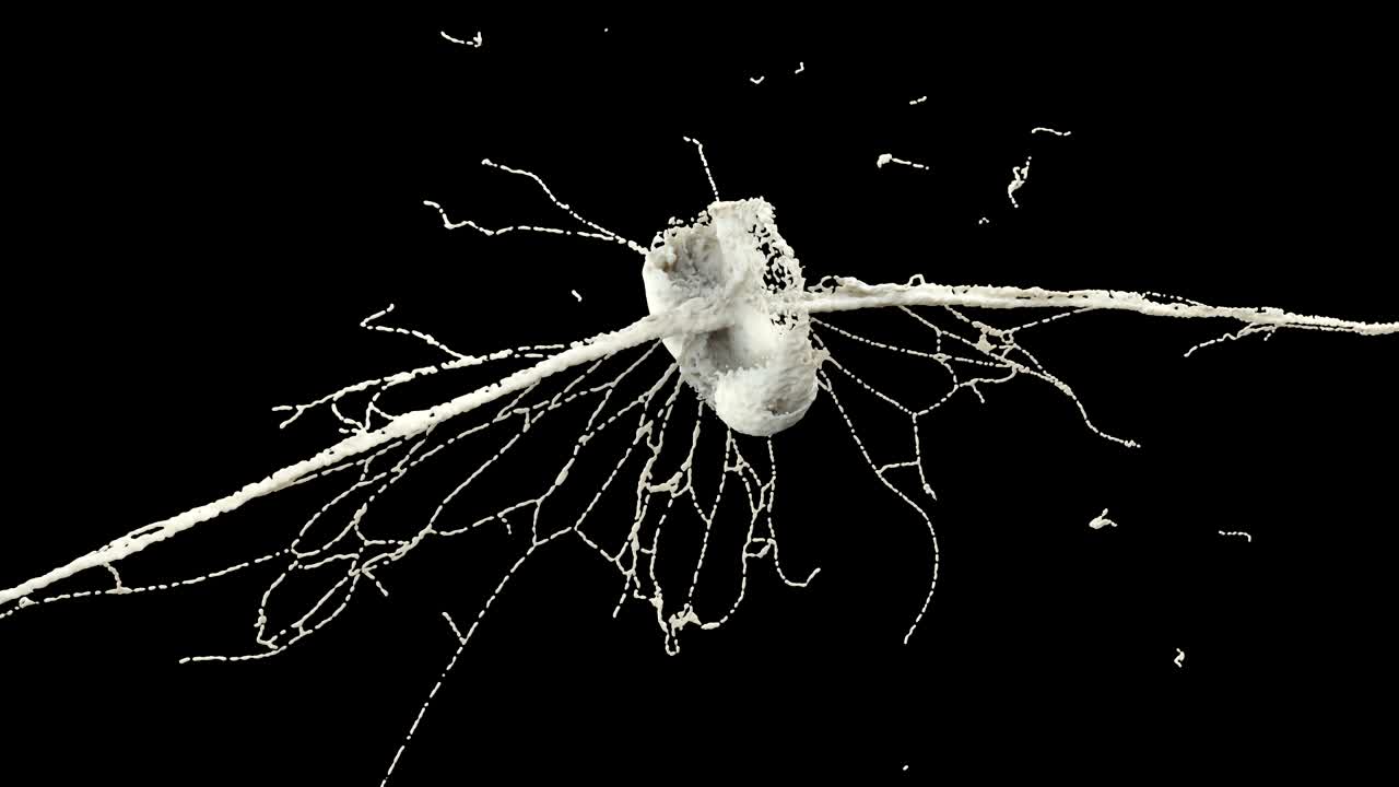 추상적인 우유 방울 스플래시 컨셉 디자인